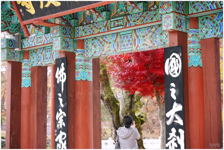  통도사_ 양산 여행 4일차 한국 3대 사찰의 11월 늦가을 풍경