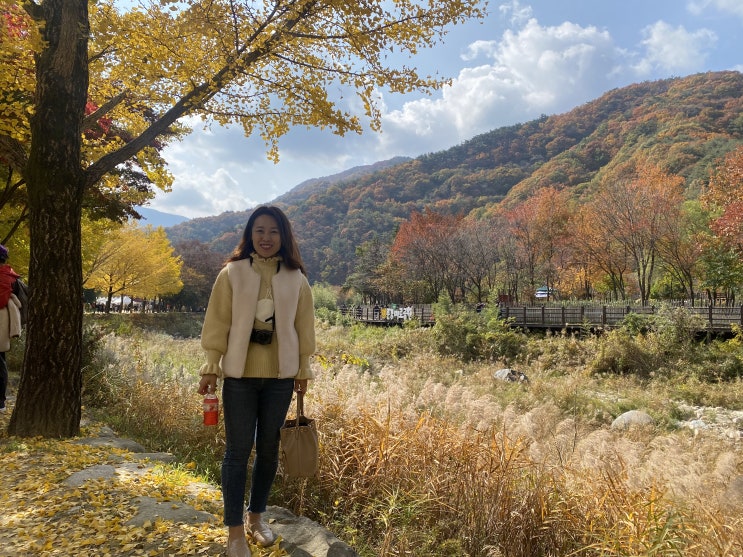  문경새재 도립공원_가을 단풍 여행