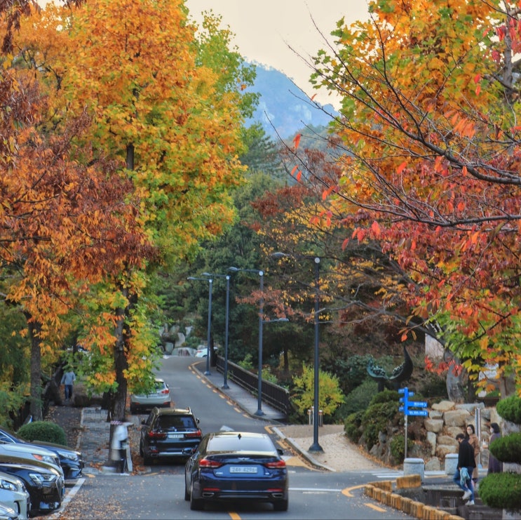  부산대 가을
