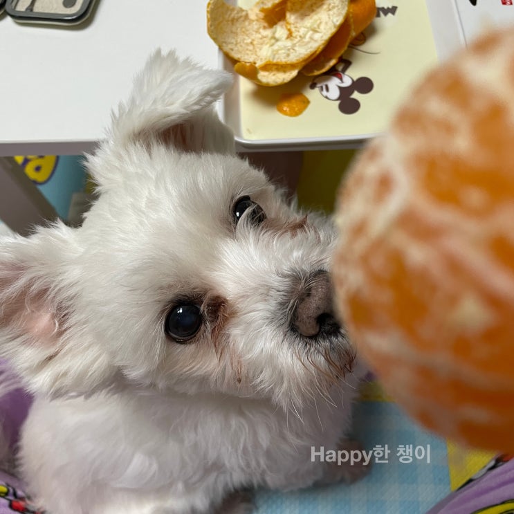  [11월 2주차] 월요일 지나기 전에 일기 쓰기 성공!