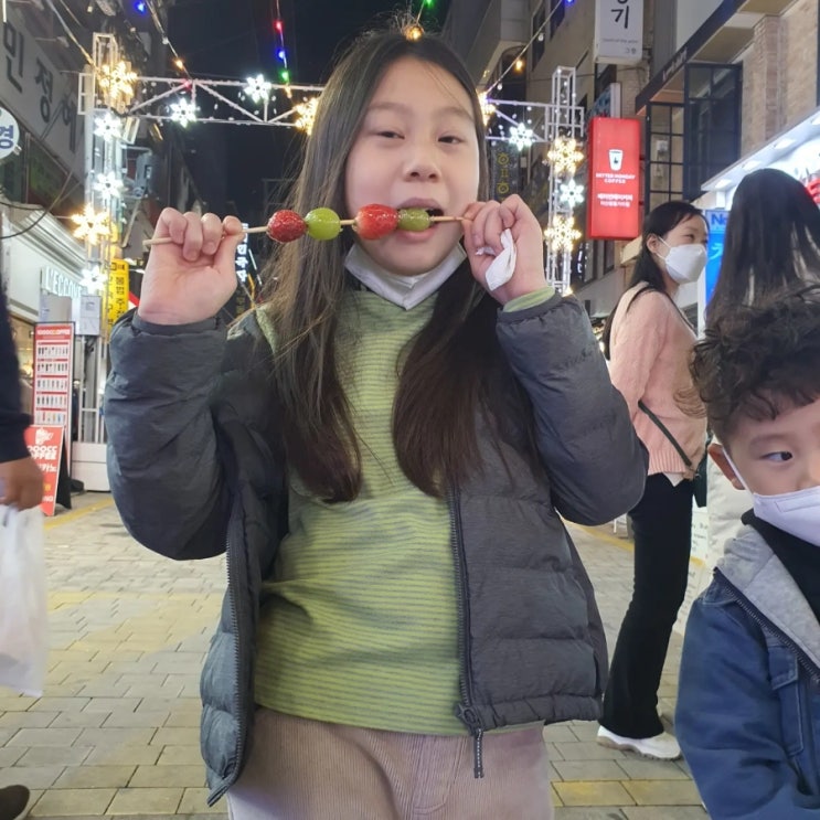  [가볼만한곳] 마산창동 눈꽃축제 10/29 ~ 12/31