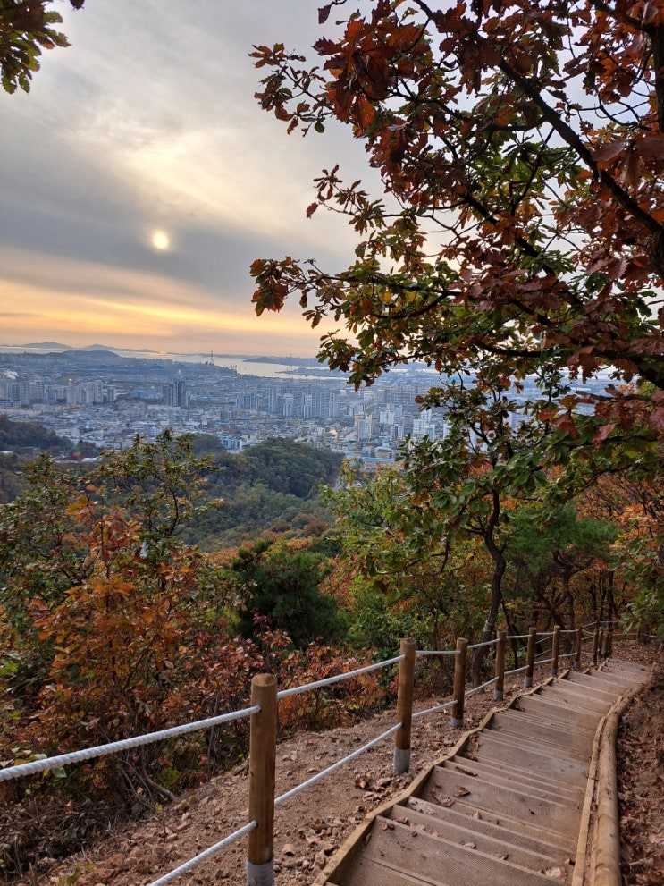  인천 원적산공원부터 원적산 정상까지