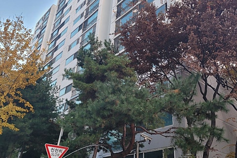 백두청소 이미지