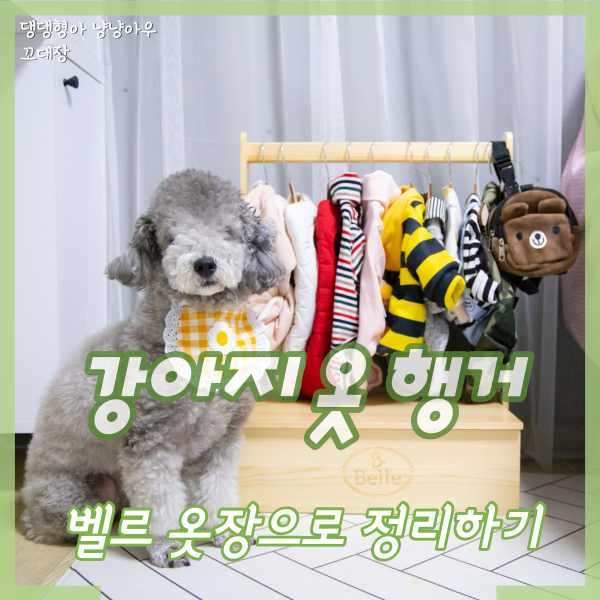  강아지 옷걸이 행거, 벨르 옷장으로 정리해 봤어요