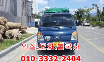 외동용달 입실 모화 용달. 외동용달 입실 모화 용달.