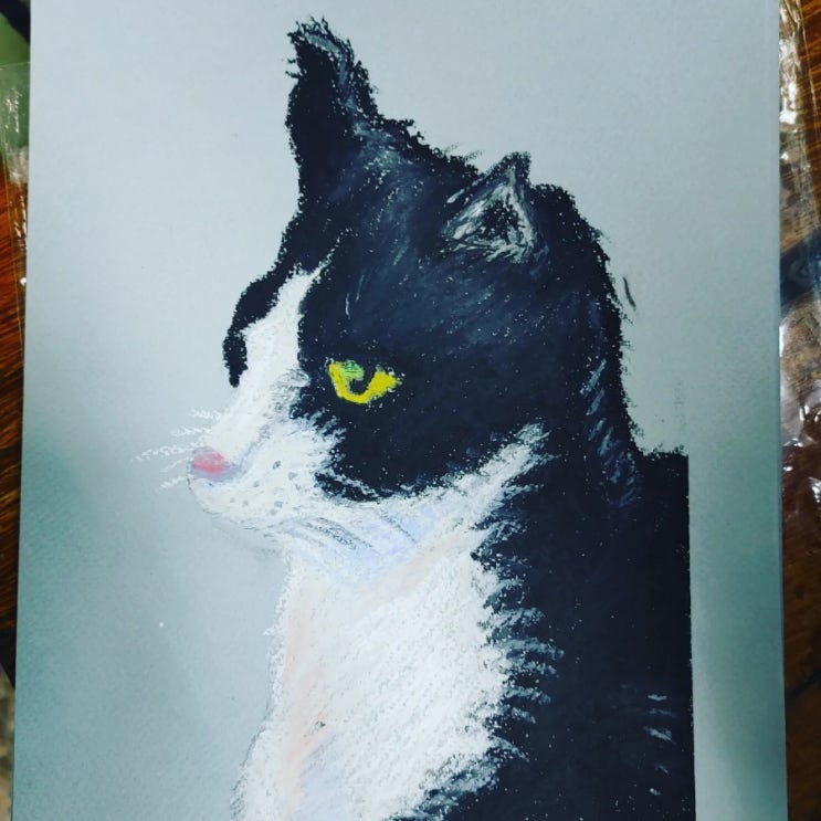  유튜브 따라 그린 그림