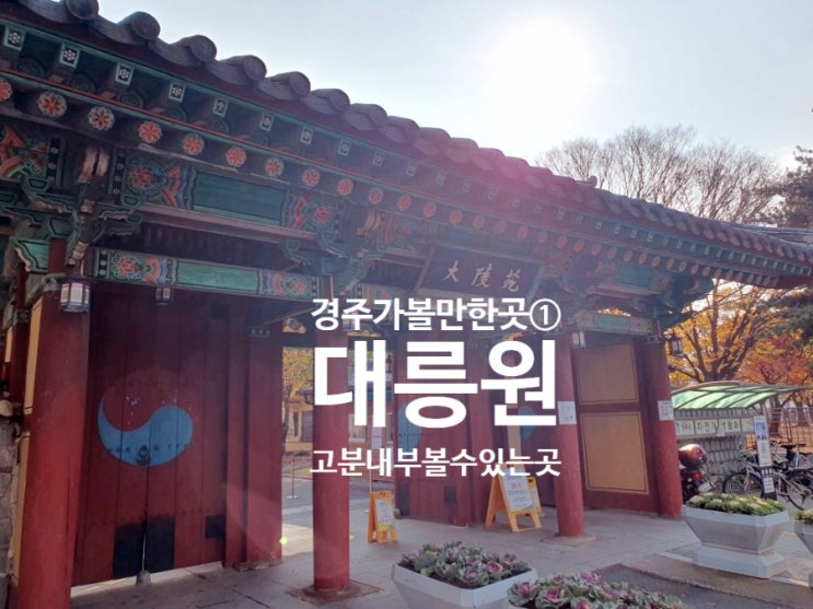  겨울 11월 경주 아이랑 가볼 만한 곳 [대릉원]