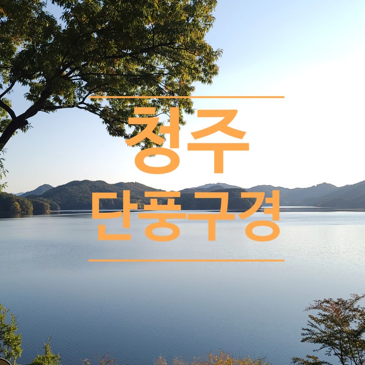  [청주] 돌솥밥 먹으러 또 가고싶은 청주! 청주구경하기