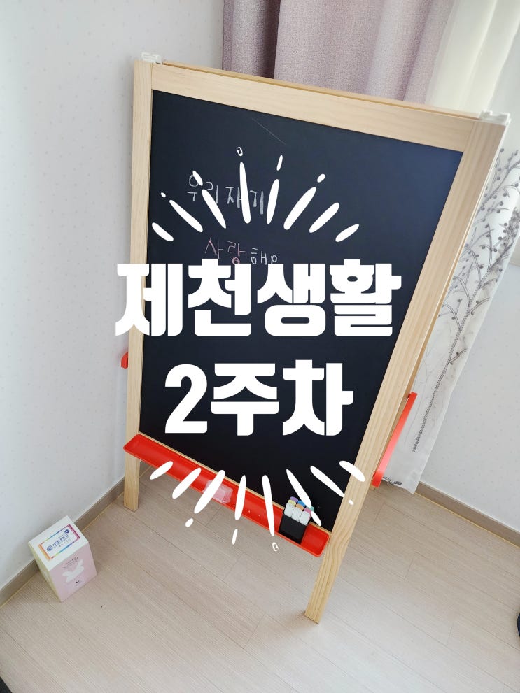  블로그 챌린지 11월 둘째주 주간일기
