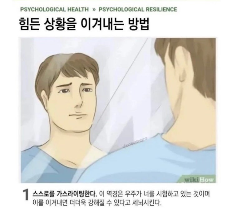  b형 독감과 함께하는 주간일기