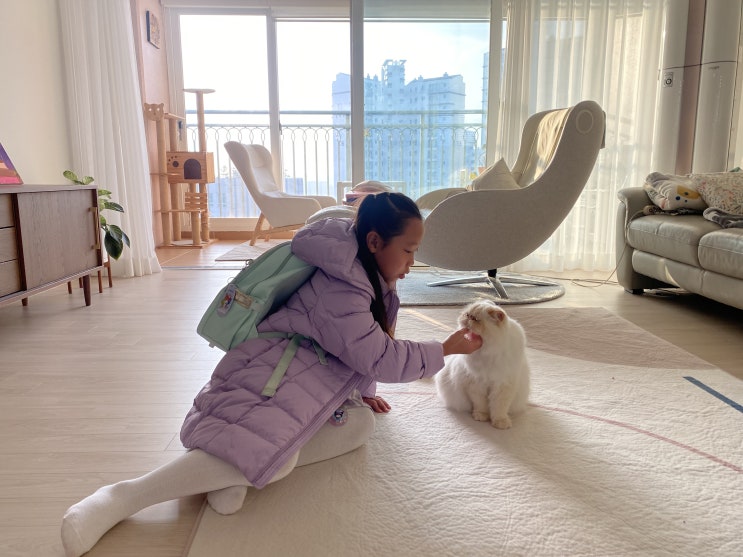  솜이와 어린집사의 아침풍경