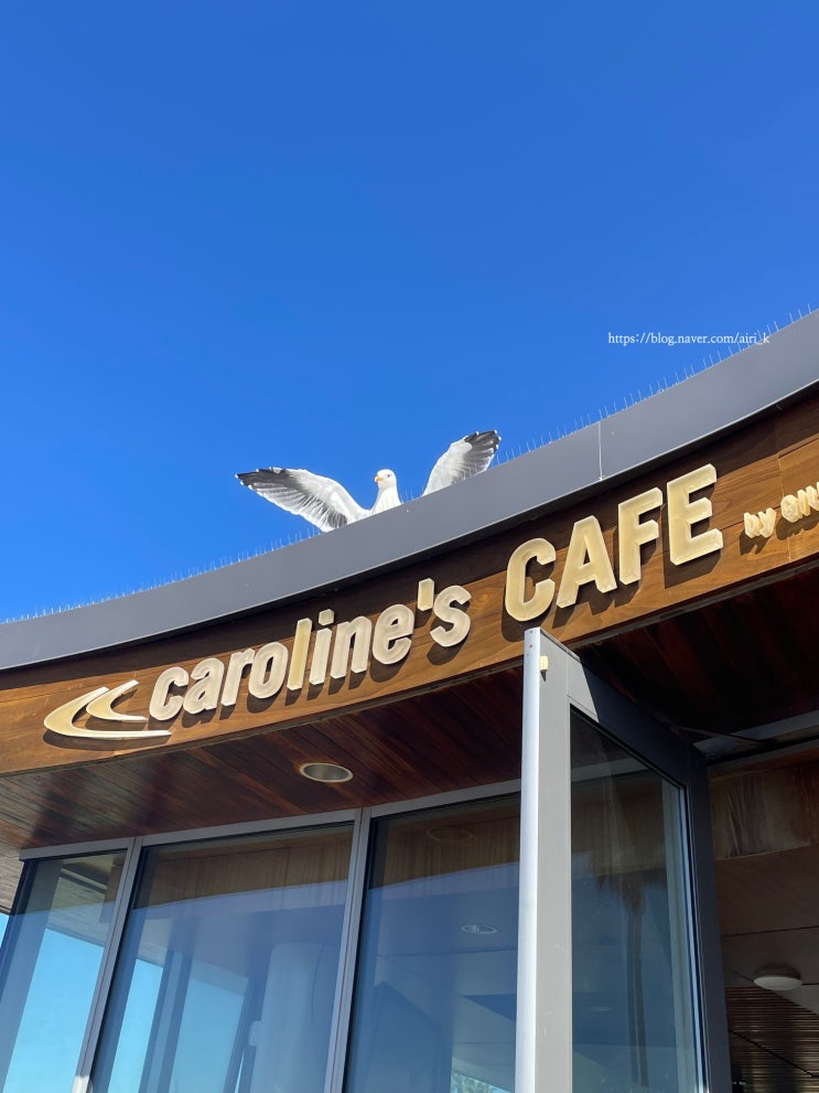 ️샌디에고 브런치 맛집ㅣ캐롤라인 씨사이드 카페(Caroline's Seaside Cafe)