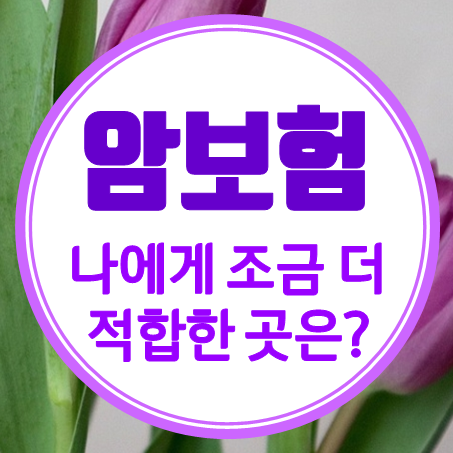  30대 암보험 추천 시 상대적으로 유리한 회사는?