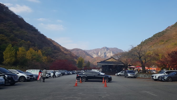 가을의 꽃, 백양사 단풍놀이 가을의 꽃, 백양사 단풍놀이