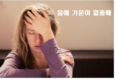 몸에 기운이 없을때 도움되는 음식