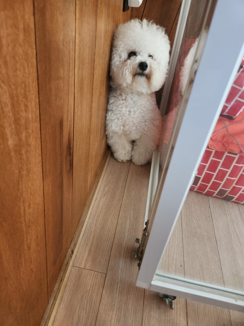 사진 8