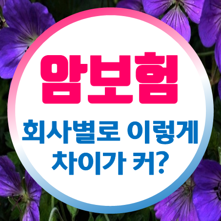  60대 암보험 추천, 회사에 따라 왜 이렇게 틀려?