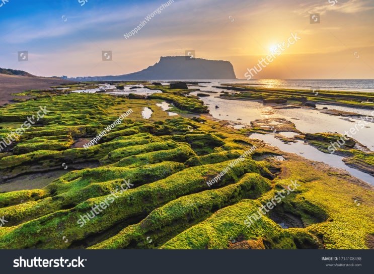  Walk along Jeju Island Olle Trail
