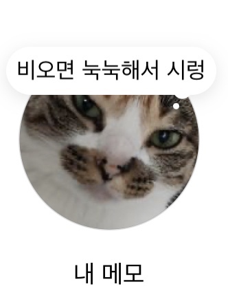 11/7-11/13 주간 일기