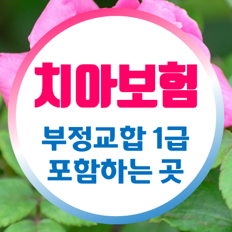  부정교합 1급 포함하는 어린이치아교정 특약 보험 가입 되는 곳