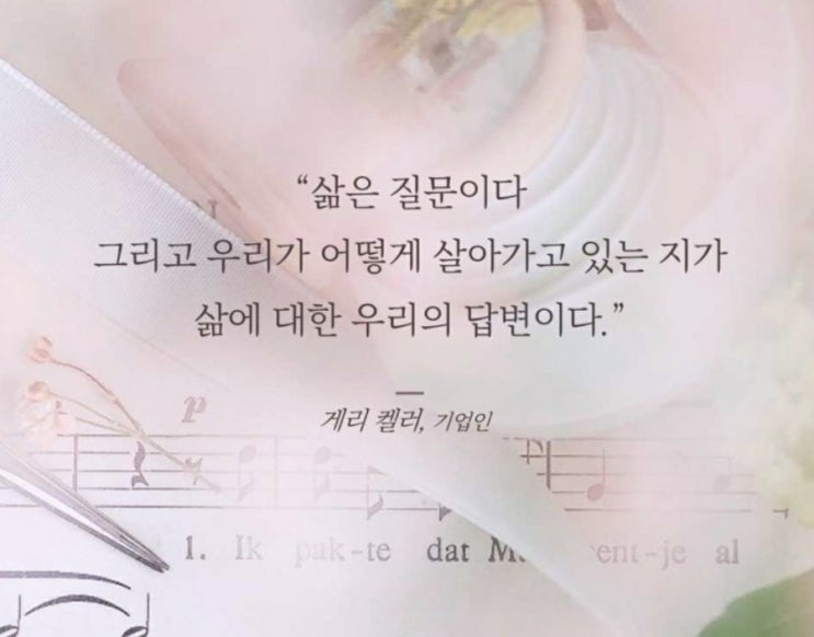  부거사이 [부동산 뉴스와 블로그] 11월 15일(화)