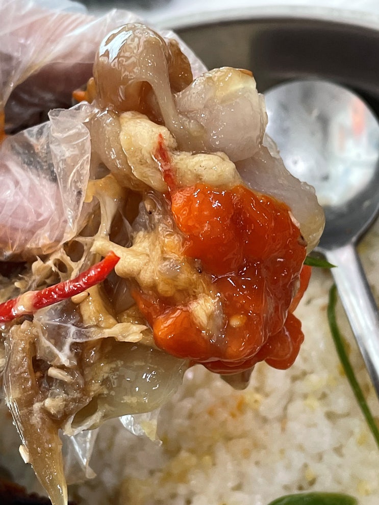  여수 게장 맛집) 알배기 암꽃게장 '두꺼비게장'(돌게장리필) #내돈내먹