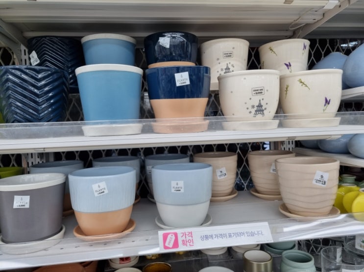  다이소 화분