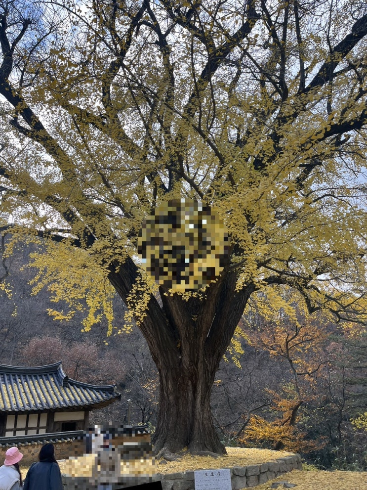  주거비용에 얼마를 쓰고 있는지 점검하자.