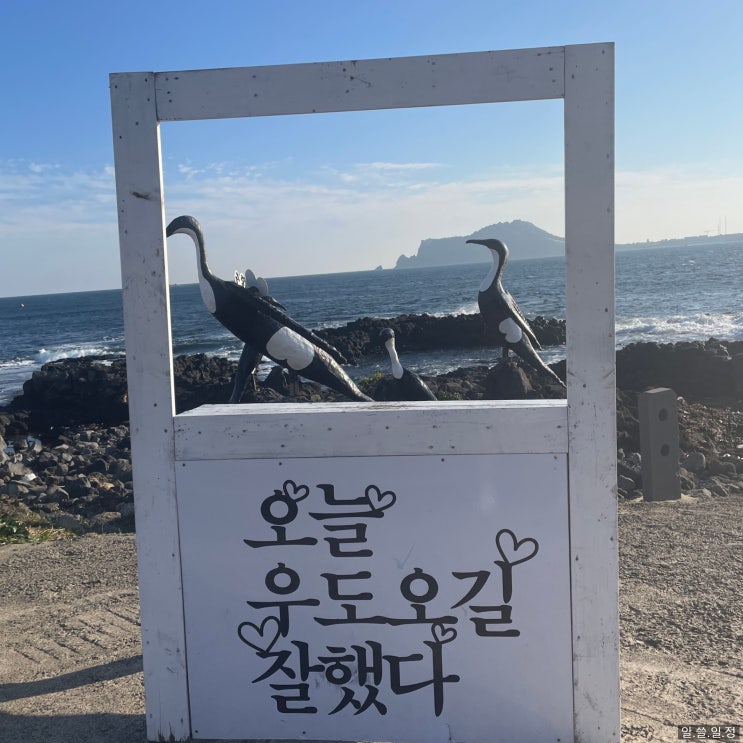  우도 가는 배 - 성산포항에서 예약 없이 현장 구매 방법 (feat. 전기스쿠터 대여)