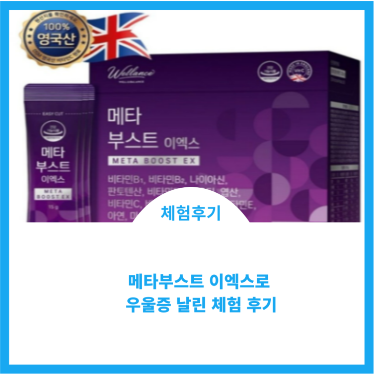  메타부스트 이엑스 체험 후기