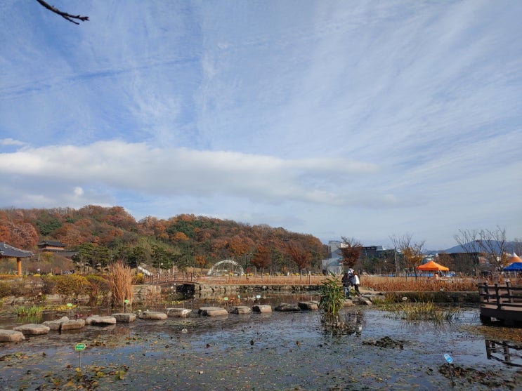  노원구 운전면허학원, 면허증 취득 주의사항