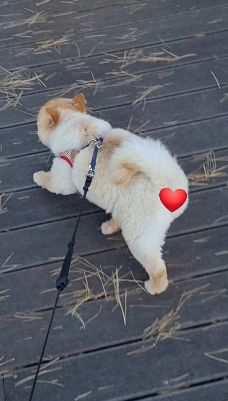  아침부터 기분 업된 사랑이