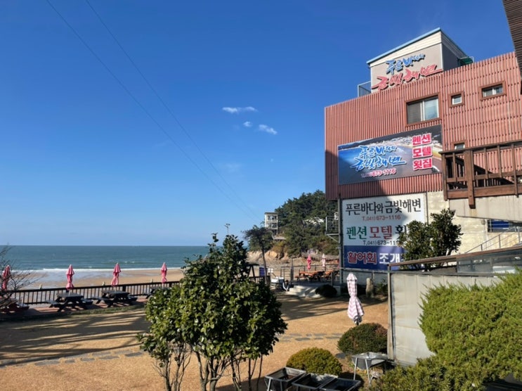  태안 만리포 바다 바로 앞 숙소 푸른바다와 금빛해변 펜션 후기(내돈내산)
