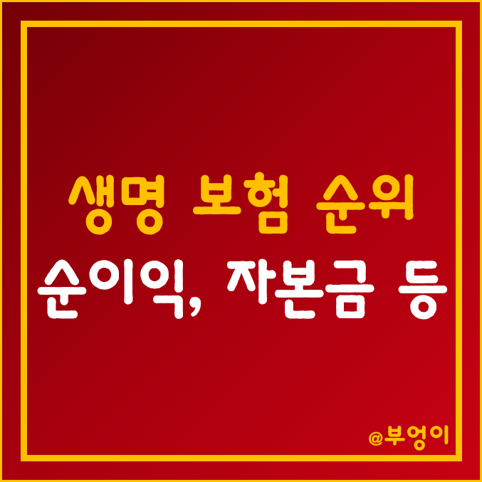 생명 보험사 종류 및 순위 (국내 보험회사 매출, 영업이익, 순이익, 자본금 등) 생명 보험사 종류 및 순위 (국내 보험회사 매출, 영업이익, 순이익, 자본금 등)