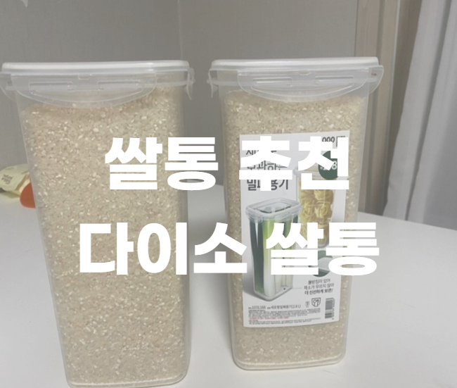  쌀통 추천, 다이소 쌀통