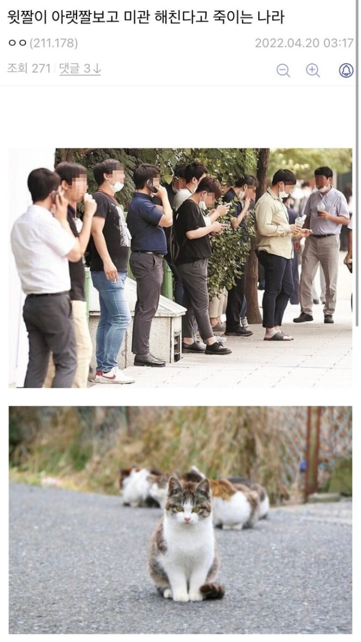  한국남자 길고양이 학대 대단하다! 아무 지역 이름+고양이 학대 검색하면 다 기사나옴/털바퀴 뜻