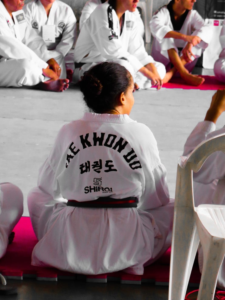  요즘 태권도 띠 순서와 색깔(어린이 키우시는 분들 주목)