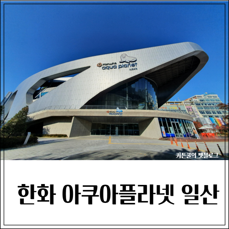 일산 아쿠아리움, 한화 아쿠아플라넷 주차, 할인, 주변맛집까지 알아봐요!
