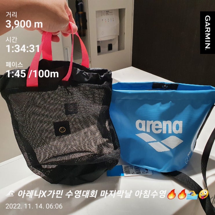  [수영일기] 아레나X가민 수영대회 마지막날