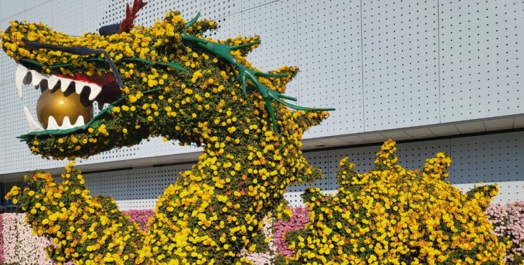  음주운전 단속·적발로 운전면허취소시 벌금액수는? 110일 정지로의 감면을 위한 이의신청과 행정심판은? 2번째 단속되신 분들의 구제가능성은?