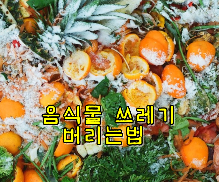  다시멸치, 새우껍질 음식물쓰레기 일반쓰레기 일까? 음식물쓰레기 구분하기