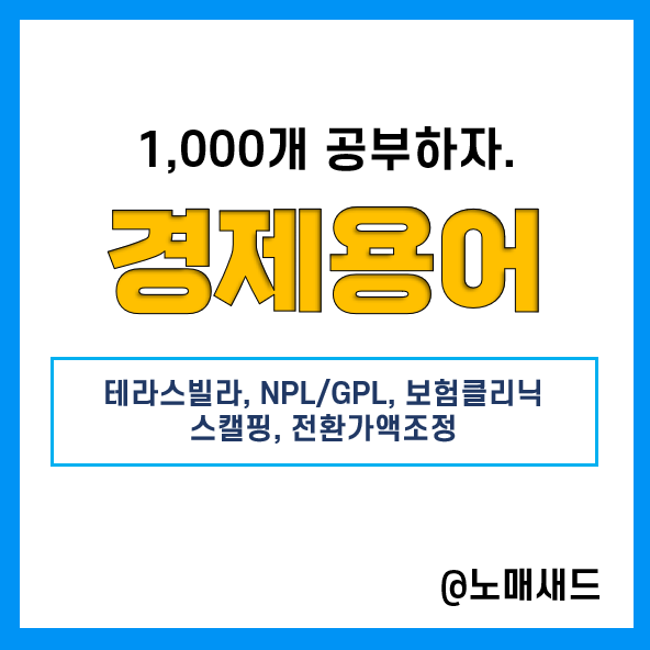 경제용어 :: 테라스빌라, NPL / GPL투자, 보험클리닉, 스캘핑, 전환가액조정 경제용어 :: 테라스빌라, NPL / GPL투자, 보험클리닉, 스캘핑, 전환가액조정