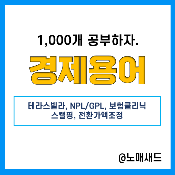 경제용어 :: 테라스빌라, NPL / GPL투자, 보험클리닉, 스캘핑, 전환가액조정