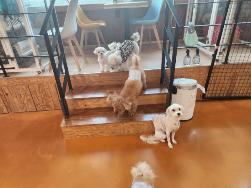 사진 7