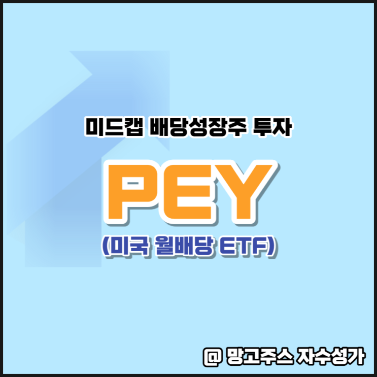 미드캡 배당성장주에 투자하는 월배당 미국ETF PEY 투자 후기(ft. SPHD)