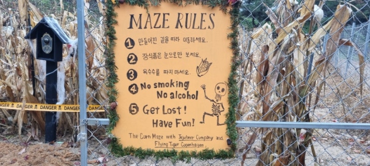 강원도원주 캄파슬로우 오토캠핑장. 핫한 오캠장 리얼리티 방문 후기!!