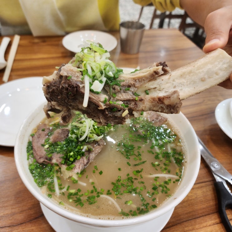  마곡 점심 추천 포레스트 오늘숲 마곡점, 양천향교역 맛집