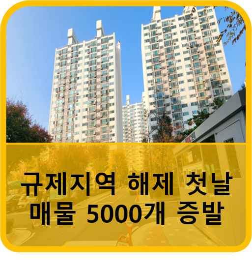  규제지역 해제로 나타난 현상