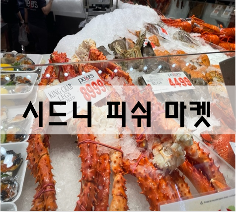  자유여행 코스 추천 시드니시티 인근 피쉬마켓 [호주여행]