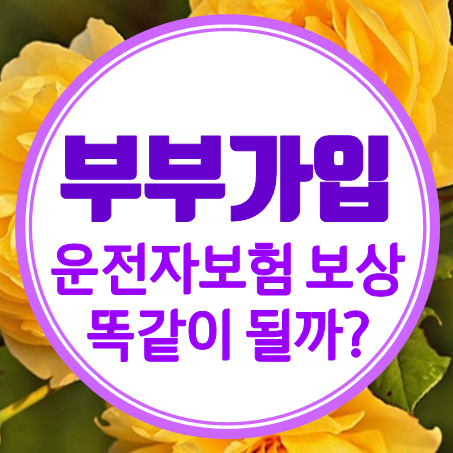  남편과 아내가 가입하는 부부 위한 운전자보험 보상, 똑같이 적용될까?